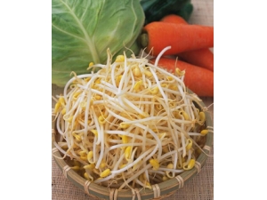 ��������ʳ Ů�Ը����ڵ���ʳ��ע������