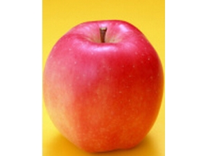 ��ƻ���ĺô� ƻ���ɱ�������θ�к