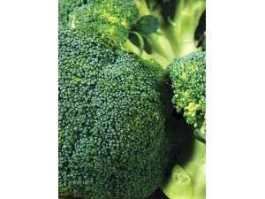 ����ʳ�� ������ά����ʳ�״�ȫ�Ƽ�