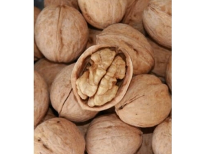 ������ʳ�� ���򲡻�����ν�����ʳ��