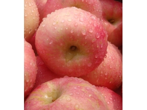 ��ʲô��Ƥ���� Ů������ˮ���Ƽ�