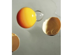 ������ƹ������� ��С��Ǯ����ҩƫ��