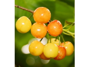 ȥ���������� ������ˮ���������˾�������