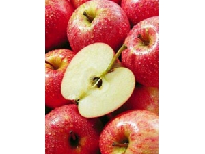 ���ʵ���÷��� Ů�Լ���ʳ��һ����10��