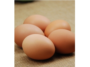 �ǽ��� ���챣�����ߴ���·��