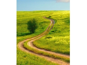 �ɹ�֮· ��ס10�����������Ļ�