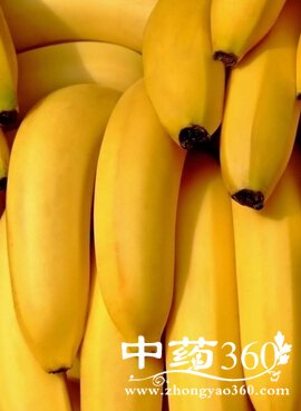 育儿知识大全,幼儿保健的十大误区