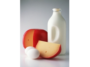 ����֪ʶ��ȫ �׶�������ʮ������