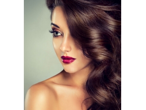 �촽ױ �Ըк촽����������