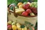 夏天吃什么水果好 6水果让你水水灵灵一整夏
