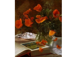 ���鼦�� �����鼦�����ĸ�����