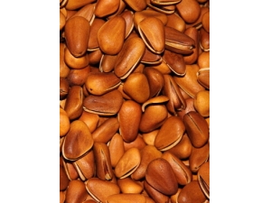 ������ʳ ���콡����ʳȫ����