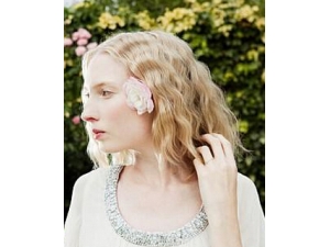 ������ʾ ʮ������������ʾ�Ļƽ���