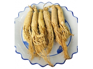 �ļ�Ӧ����α�����Щ�����ĺ��������ҩ��