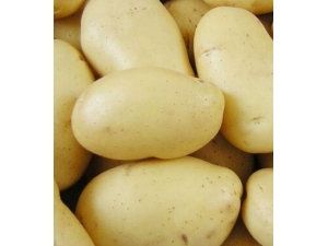 ����Ȧ��ôȥ�� ���㷽��Ѹ��ȥ������Ȧ