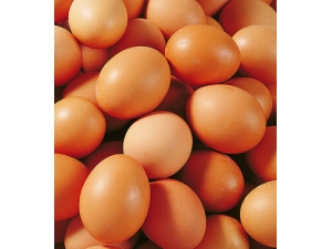 ��ôȥ���� 7�󷽷����ɸ�������