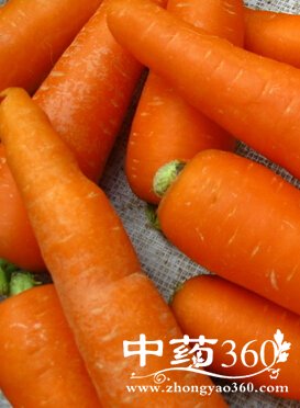 �Ŷ�����,��ǿ��Ů���Ŷ�ʮ��ʳ��