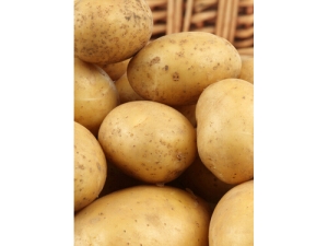 ���ʵ���÷��� �＾�����ȷ���ʣ�