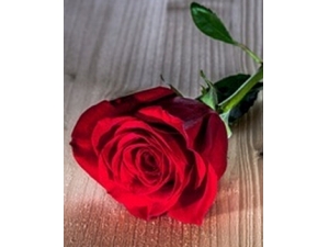 ɫ��֪ʶ �����ɫ��������ʲô��