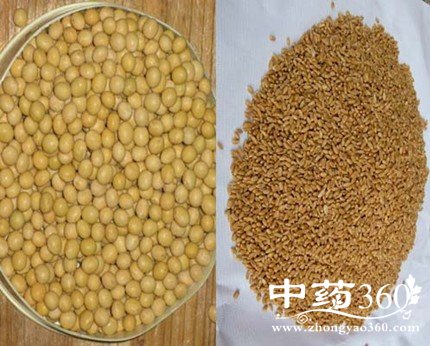 【减肥科普贴】素食减肥真的有效吗