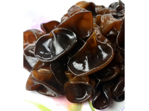 �����̴���ô�� �Ƽ������ҽҩ�����̴�