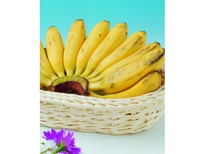 ������ô���� ��ʲôˮ������ͨ�㣿