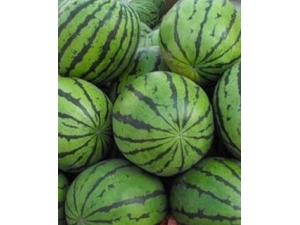 ڲܳʲô Ů˾ڲܳԵˮ