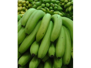 �ո����ܳԵ�ˮ�� �̵�ո�����ʳ�õ�ˮ��