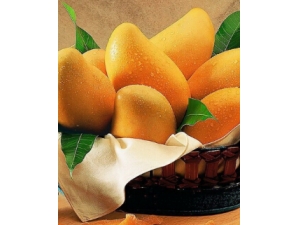 ͷ���ɿ�ë����ô�� ˮ�����㷢�������