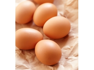 �������� ����ʳ��Գ���������