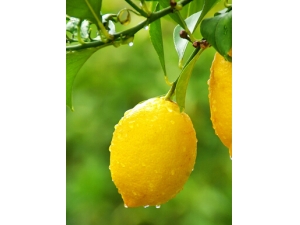 ��ʲô�������� Ů�����ײ�ˮ��ˮ��