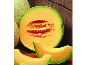 ��ʲô�������� �������׵ĹϹ�����Щ��