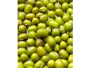 �̶���Ӫ����ֵ ������̶��н���