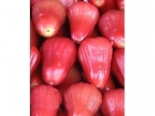 吃什么能抗衰老 红色水果都是抗衰老圣果