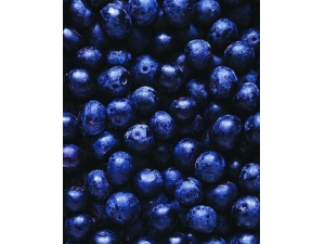 ˮ������ �ļ�8��Ϳ�ˮ���Գ���������