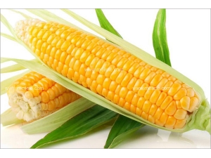 ˮ�����׺ò��� ˮ��������ת�������