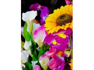 ��ˮѧ���� ��������������Լ��������أ�