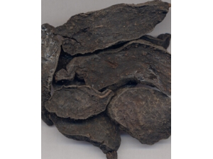 �����ڵ�ʳ�÷��� ��������ô�Բ�����