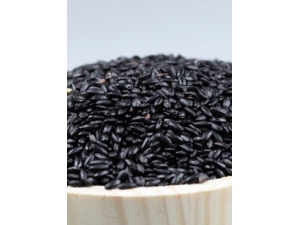 ������ʳ�� ���ײ���޲������