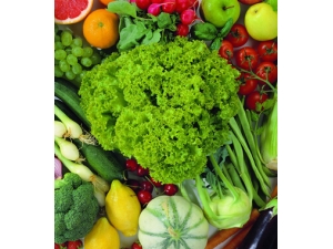 ��ɫ������ô���� 3�п��ٻ����������