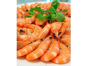 Ϻ��Ӫ����ֵ θ�׿��Գ�Ϻ��