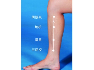 ������Ħ Ѩλ��Ħ����Ů�Է��θ��Ʋ�