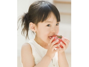 С������ڲ� ��������ڲ�Ӧע�����ʳ����