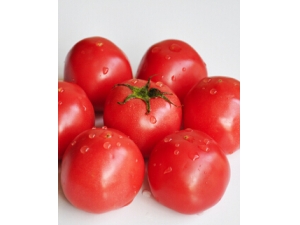 ���������ĺô� �������Ƿ�����������ѡ����