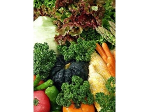 �����ָ� ���������ȷ��������