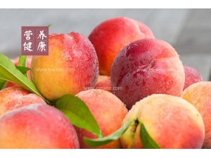 ���ӵ�Ӫ����ֵ���� ���ӵĽ����Է�