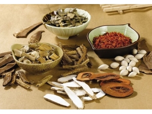 ɽ�εĽ��� ɽ�ε�ʳ�Ƽ�ҩ������