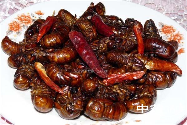 zhiliaohoudeyingyangjiazhi2