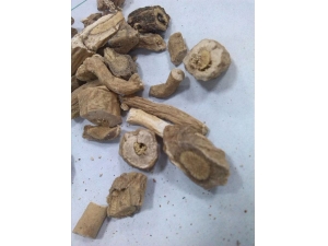 �������ĸ����� ���ð�������Σ����