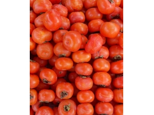 �����ӵĽ��� ��ȷ������Ӫ����ζ�ż��